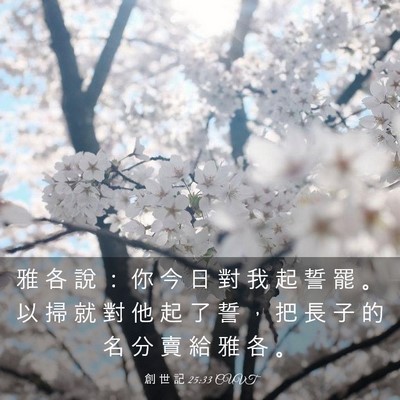 Picture 03 - 創 世 記 25:33 CUVT - 雅 各 說 ： 你 今 日 對 我 起 誓 罷 - Bible Verse Picture