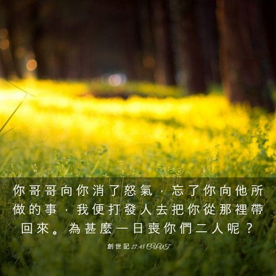 Picture 03 - 創 世 記 27:45 CUVT - 你 哥 哥 向 你 消 了 怒 氣 ， 忘 了 - Bible Verse Picture