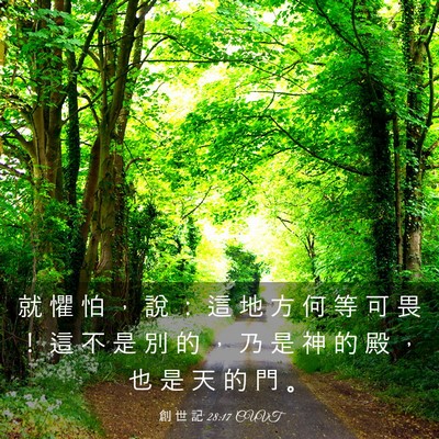 Picture 03 - 創 世 記 28:17 CUVT - 就 懼 怕 ， 說 ： 這 地 方 何 等 可 - Bible Verse Picture
