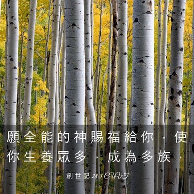 Picture 03 - 創 世 記 28:3 CUVT - 願 全 能 的 神 賜 福 給 你 ， 使 你 - Bible Verse Picture