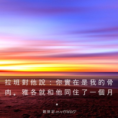 Picture 03 - 創 世 記 29:14 CUVT - 拉 班 對 他 說 ： 你 實 在 是 我 的 - Bible Verse Picture