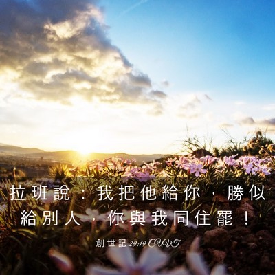 Picture 03 - 創 世 記 29:19 CUVT - 拉 班 說 ： 我 把 他 給 你 ， 勝 似 - Bible Verse Picture