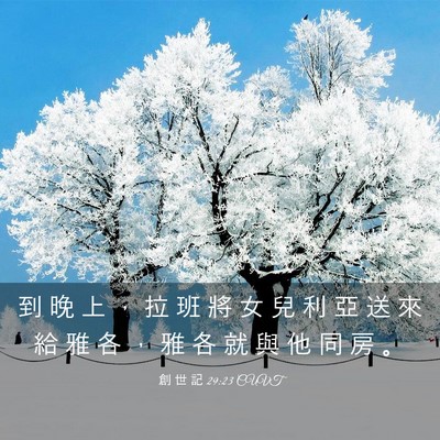 Picture 03 - 創 世 記 29:23 CUVT - 到 晚 上 ， 拉 班 將 女 兒 利 亞 送 - Bible Verse Picture
