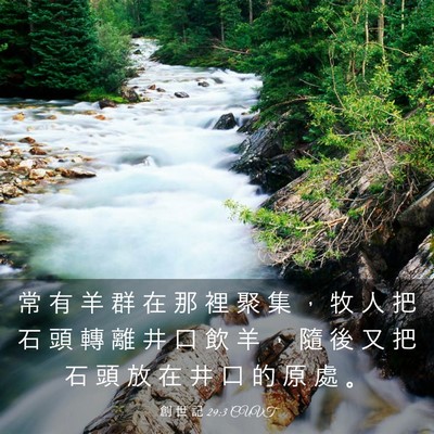 Picture 03 - 創 世 記 29:3 CUVT - 常 有 羊 群 在 那 裡 聚 集 ， 牧 人 - Bible Verse Picture