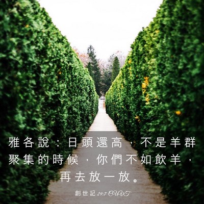 Picture 03 - 創 世 記 29:7 CUVT - 雅 各 說 ： 日 頭 還 高 ， 不 是 羊 - Bible Verse Picture