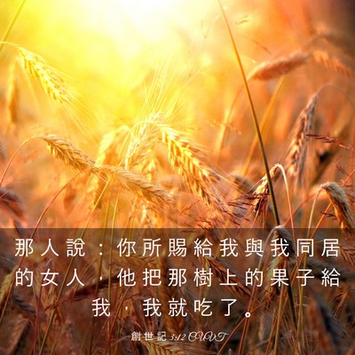 Picture 03 - 創 世 記 3:12 CUVT - 那 人 說 ： 你 所 賜 給 我 與 我 同 - Bible Verse Picture