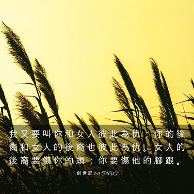 Picture 03 - 創 世 記 3:15 CUVT - 我 又 要 叫 你 和 女 人 彼 此 為 仇 - Bible Verse Picture