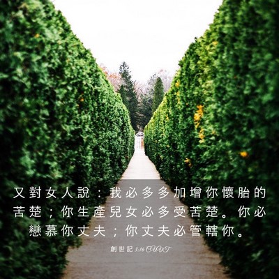 Picture 03 - 創 世 記 3:16 CUVT - 又 對 女 人 說 ： 我 必 多 多 加 增 - Bible Verse Picture