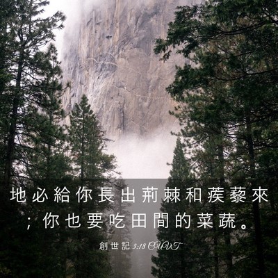 Picture 03 - 創 世 記 3:18 CUVT - 地 必 給 你 長 出 荊 棘 和 蒺 藜 來 - Bible Verse Picture