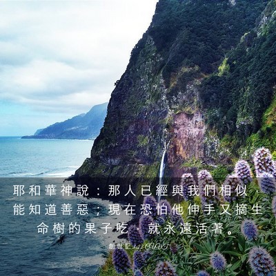 Picture 03 - 創 世 記 3:22 CUVT - 耶 和 華 神 說 ： 那 人 已 經 與 我 - Bible Verse Picture