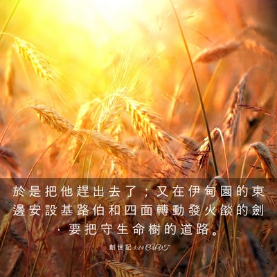Picture 03 - 創 世 記 3:24 CUVT - 於 是 把 他 趕 出 去 了 ； 又 在 伊 - Bible Verse Picture