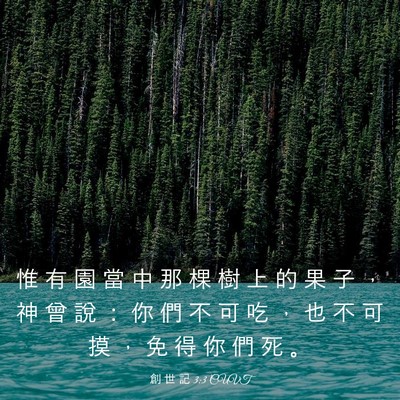 Picture 03 - 創 世 記 3:3 CUVT - 惟 有 園 當 中 那 棵 樹 上 的 果 子 - Bible Verse Picture