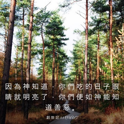 Picture 03 - 創 世 記 3:5 CUVT - 因 為 神 知 道 ， 你 們 吃 的 日 子 - Bible Verse Picture