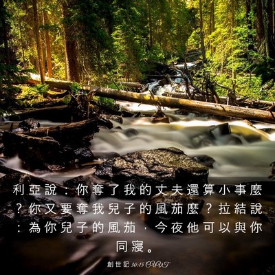 Picture 03 - 創 世 記 30:15 CUVT - 利 亞 說 ： 你 奪 了 我 的 丈 夫 還 - Bible Verse Picture