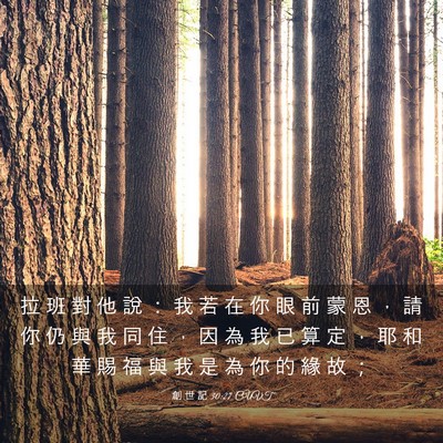 Picture 03 - 創 世 記 30:27 CUVT - 拉 班 對 他 說 ： 我 若 在 你 眼 前 - Bible Verse Picture