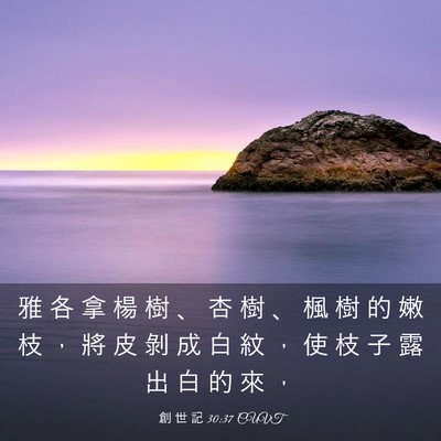 Picture 03 - 創 世 記 30:37 CUVT - 雅 各 拿 楊 樹 、 杏 樹 、 楓 樹 的 - Bible Verse Picture