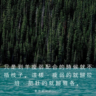 Picture 03 - 創 世 記 30:42 CUVT - 只 是 到 羊 瘦 弱 配 合 的 時 候 就 - Bible Verse Picture