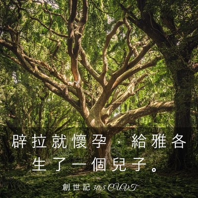Picture 03 - 創 世 記 30:5 CUVT - 辟 拉 就 懷 孕 ， 給 雅 各 生 了 一 - Bible Verse Picture