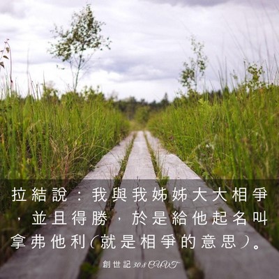 Picture 03 - 創 世 記 30:8 CUVT - 拉 結 說 ： 我 與 我 姊 姊 大 大 相 - Bible Verse Picture