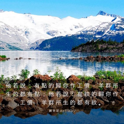 Picture 03 - 創 世 記 31:8 CUVT - 他 若 說 ： 有 點 的 歸 你 作 工 價 - Bible Verse Picture