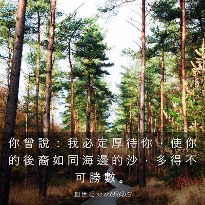 Picture 03 - 創 世 記 32:12 CUVT - 你 曾 說 ： 我 必 定 厚 待 你 ， 使 - Bible Verse Picture