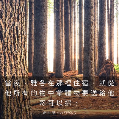 Picture 03 - 創 世 記 32:13 CUVT - 當 夜 ， 雅 各 在 那 裡 住 宿 ， 就 - Bible Verse Picture