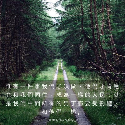 Picture 03 - 創 世 記 34:22 CUVT - 惟 有 一 件 事 我 們 必 須 做 ， 他 - Bible Verse Picture