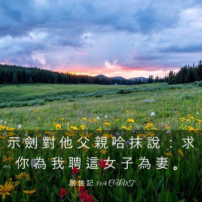 Picture 03 - 創 世 記 34:4 CUVT - 示 劍 對 他 父 親 哈 抹 說 ： 求 你 - Bible Verse Picture