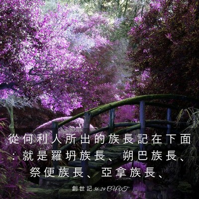 Picture 03 - 創 世 記 36:29 CUVT - 從 何 利 人 所 出 的 族 長 記 在 下 - Bible Verse Picture