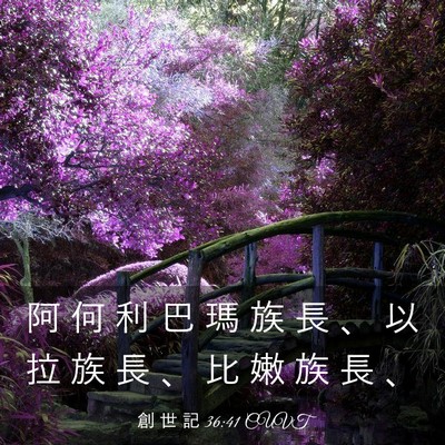 Picture 03 - 創 世 記 36:41 CUVT - 阿 何 利 巴 瑪 族 長 、 以 拉 族 長 - Bible Verse Picture