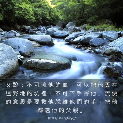 Picture 03 - 創 世 記 37:22 CUVT - 又 說 ： 不 可 流 他 的 血 ， 可 以 - Bible Verse Picture