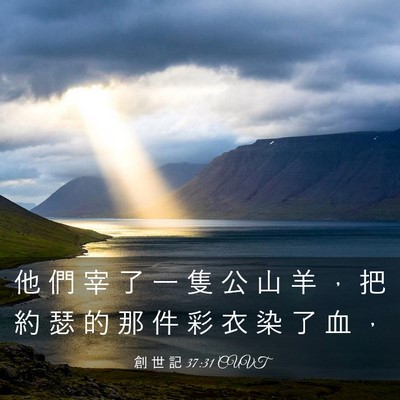 Picture 03 - 創 世 記 37:31 CUVT - 他 們 宰 了 一 隻 公 山 羊 ， 把 約 - Bible Verse Picture