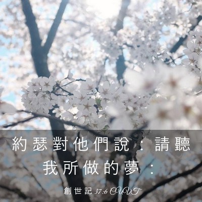 Picture 03 - 創 世 記 37:6 CUVT - 約 瑟 對 他 們 說 ： 請 聽 我 所 做 - Bible Verse Picture