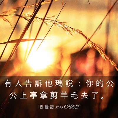 Picture 03 - 創 世 記 38:13 CUVT - 有 人 告 訴 他 瑪 說 ： 你 的 公 公 - Bible Verse Picture