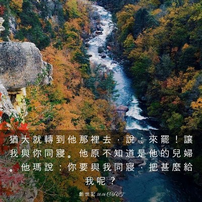 Picture 03 - 創 世 記 38:16 CUVT - 猶 大 就 轉 到 他 那 裡 去 ， 說 ： - Bible Verse Picture