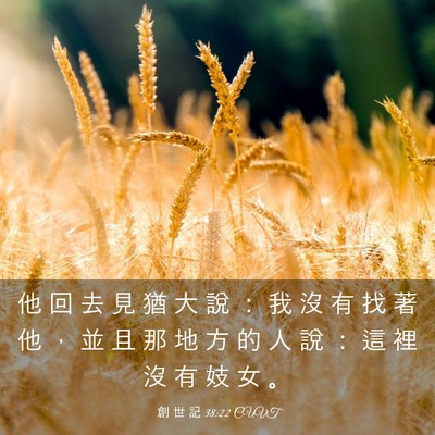 Picture 03 - 創 世 記 38:22 CUVT - 他 回 去 見 猶 大 說 ： 我 沒 有 找 - Bible Verse Picture