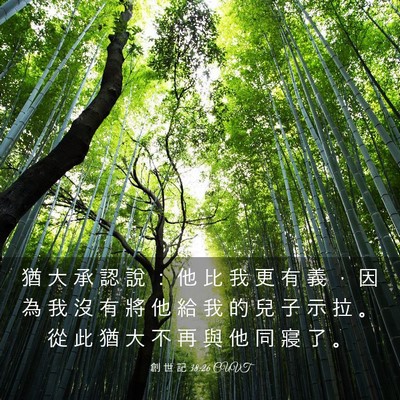 Picture 03 - 創 世 記 38:26 CUVT - 猶 大 承 認 說 ： 他 比 我 更 有 義 - Bible Verse Picture