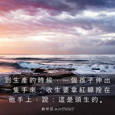 Picture 03 - 創 世 記 38:28 CUVT - 到 生 產 的 時 候 ， 一 個 孩 子 伸 - Bible Verse Picture