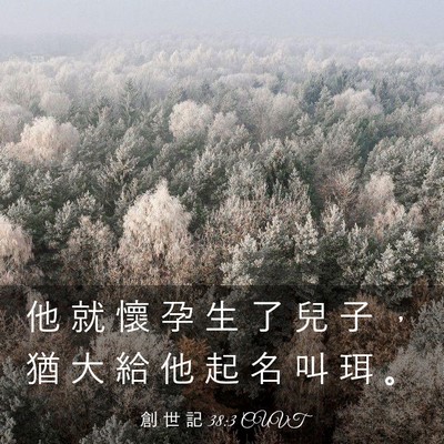 Picture 03 - 創 世 記 38:3 CUVT - 他 就 懷 孕 生 了 兒 子 ， 猶 大 給 - Bible Verse Picture