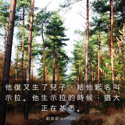 Picture 03 - 創 世 記 38:5 CUVT - 他 復 又 生 了 兒 子 ， 給 他 起 名 - Bible Verse Picture