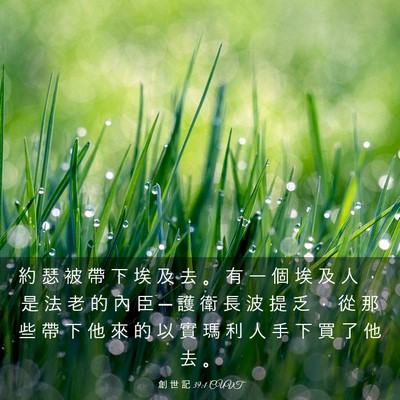 Picture 03 - 創 世 記 39:1 CUVT - 約 瑟 被 帶 下 埃 及 去 。 有 一 個 - Bible Verse Picture