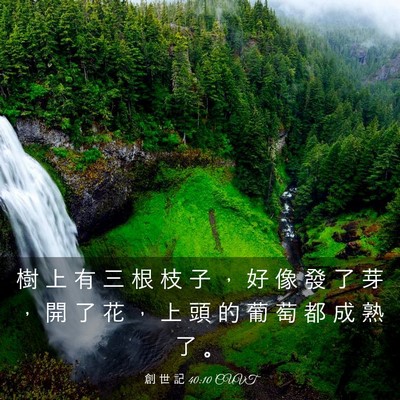 Picture 03 - 創 世 記 40:10 CUVT - 樹 上 有 三 根 枝 子 ， 好 像 發 了 - Bible Verse Picture