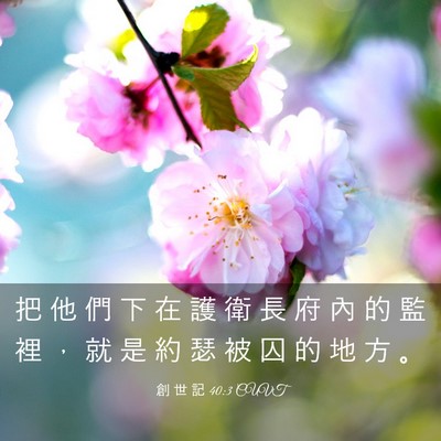 Picture 03 - 創 世 記 40:3 CUVT - 把 他 們 下 在 護 衛 長 府 內 的 監 - Bible Verse Picture