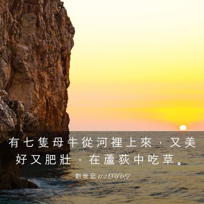 Picture 03 - 創 世 記 41:2 CUVT - 有 七 隻 母 牛 從 河 裡 上 來 ， 又 - Bible Verse Picture