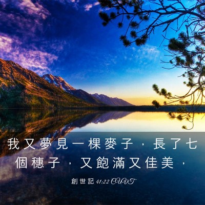 Picture 03 - 創 世 記 41:22 CUVT - 我 又 夢 見 一 棵 麥 子 ， 長 了 七 - Bible Verse Picture