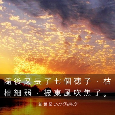 Picture 03 - 創 世 記 41:23 CUVT - 隨 後 又 長 了 七 個 穗 子 ， 枯 槁 - Bible Verse Picture
