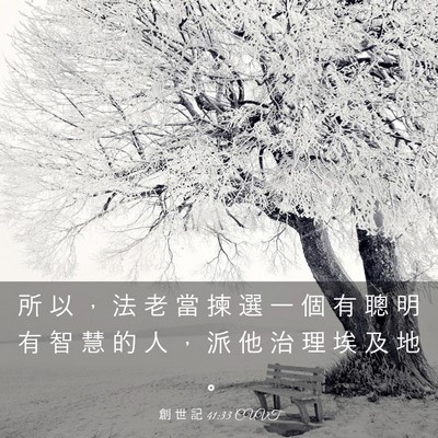 Picture 03 - 創 世 記 41:33 CUVT - 所 以 ， 法 老 當 揀 選 一 個 有 聰 - Bible Verse Picture