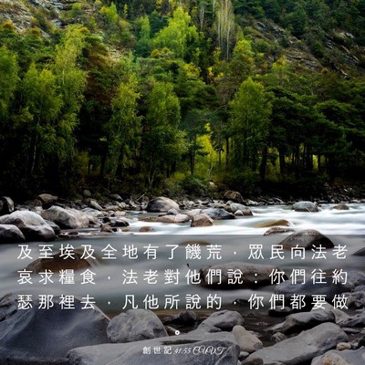 Picture 03 - 創 世 記 41:55 CUVT - 及 至 埃 及 全 地 有 了 饑 荒 ， 眾 - Bible Verse Picture