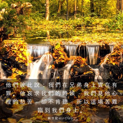 Picture 03 - 創 世 記 42:21 CUVT - 他 們 彼 此 說 ： 我 們 在 兄 弟 身 - Bible Verse Picture