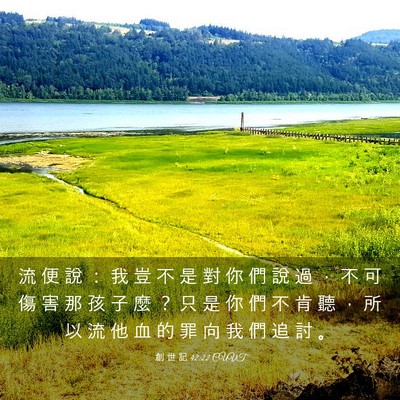 Picture 03 - 創 世 記 42:22 CUVT - 流 便 說 ： 我 豈 不 是 對 你 們 說 - Bible Verse Picture